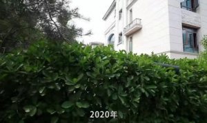 如何判断地基需要加固？4个直观信号